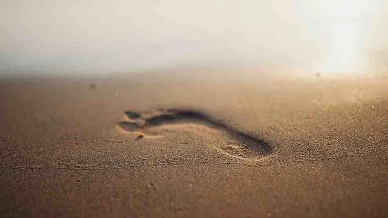 Goa Trip Story: Beach, Food, Adventure, Casino, Nightlife