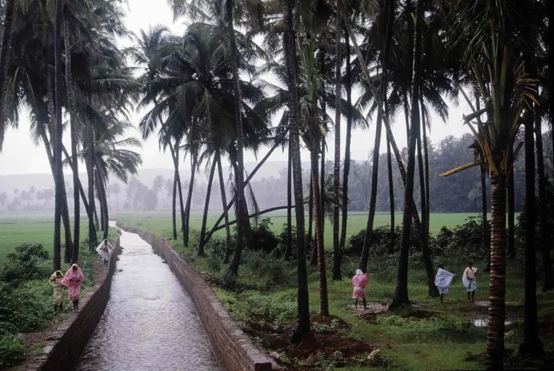 Monsoon