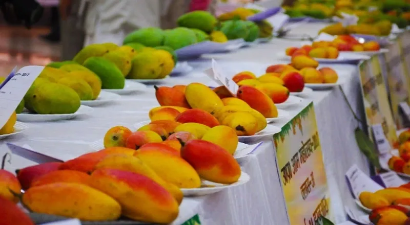 Goa Mango Festival