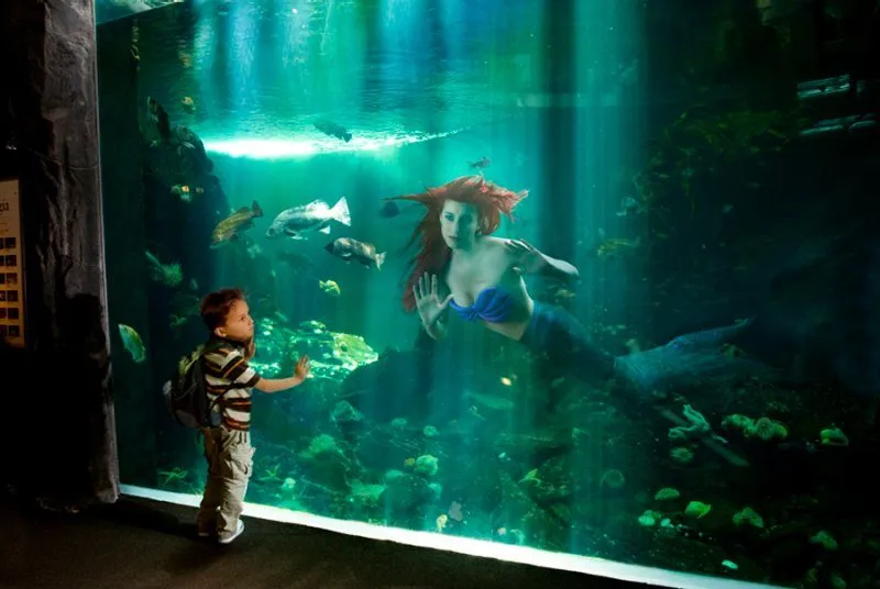 http://www.thedailybeast.com/articles/2013/08/09/fallen-princesses-the-amazing-photos-of-depressed-disney-royalty.html