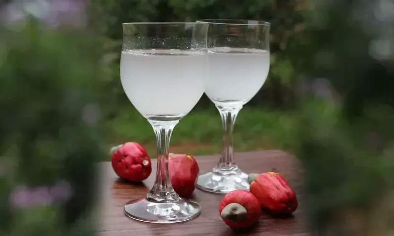 Caju feni- coconut feni- summer drinks- Must try in Goa