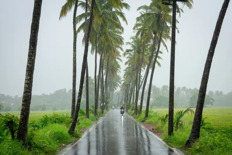 Monsoon Memories