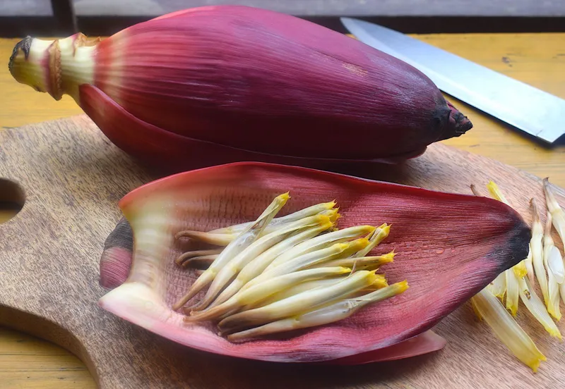 Banana-Flower-