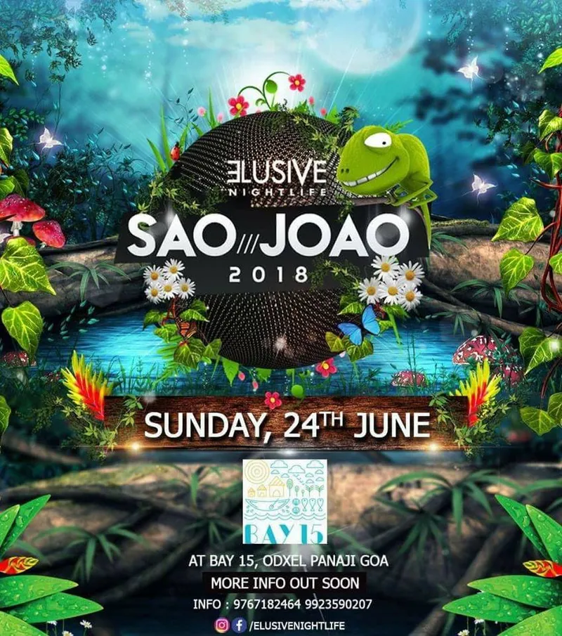Bay 15 Sao Joaonew34307209_1499852443458352_9044799593178464256_n