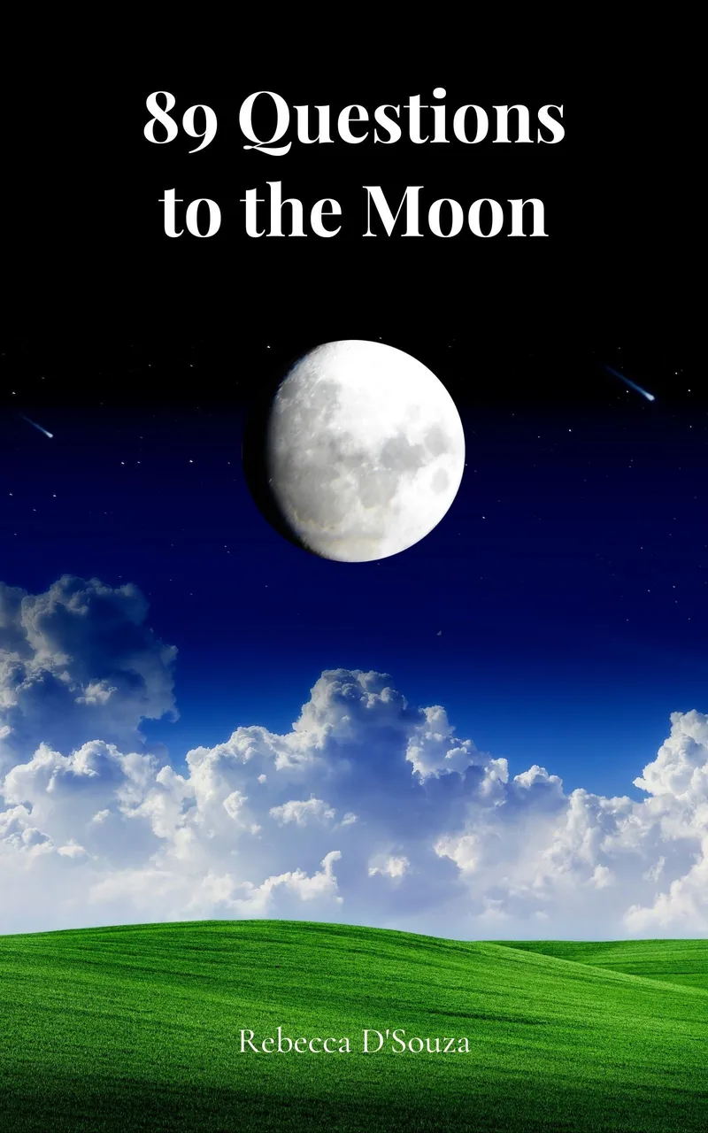 Book-cover-1