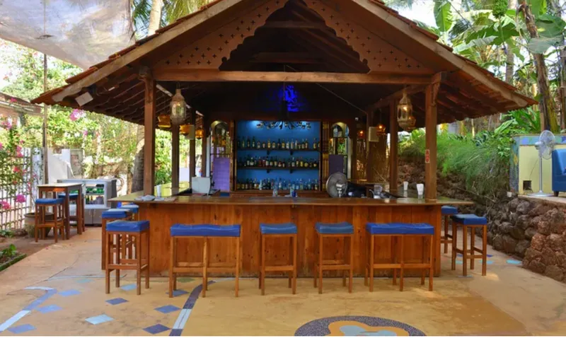 goa-clubbing-guide