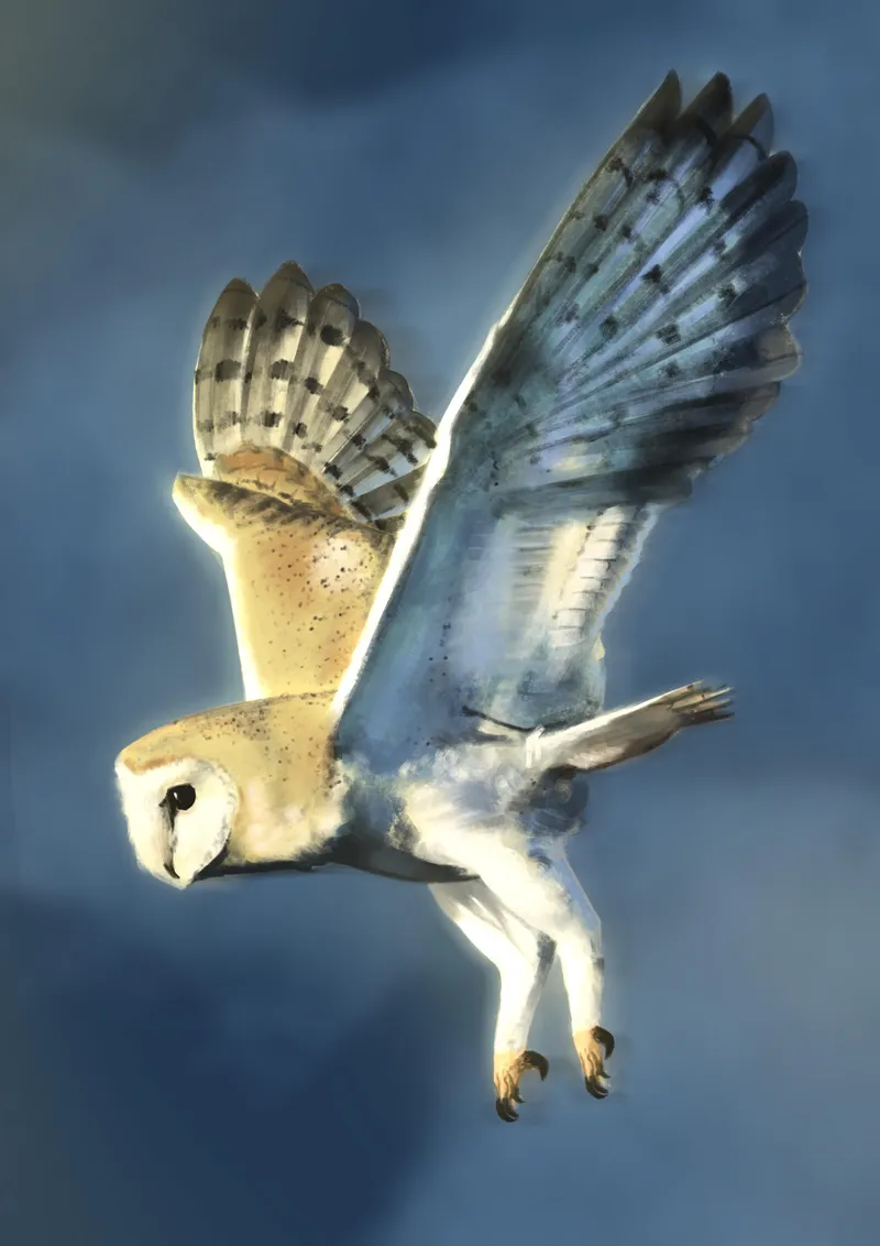 Alecsters art work- The Gleaming Owl- Digital Paintings