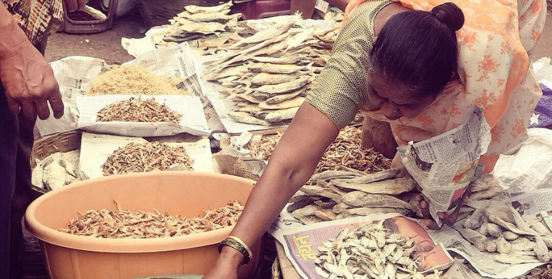 Dried Fish in Monsoon