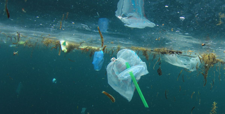 single-use plastic in the sea