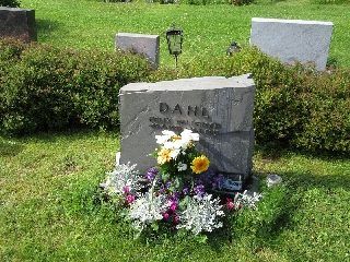 Felix Dahlgrave12385_felixdahl2