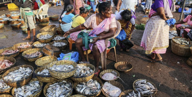 Lady selling fish