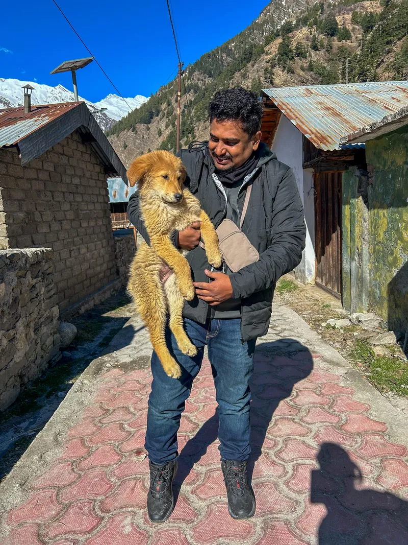 Fluffy paws at Harshil Valley Uttarakhand