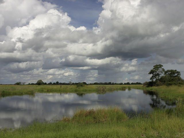 Goa state wetland authority