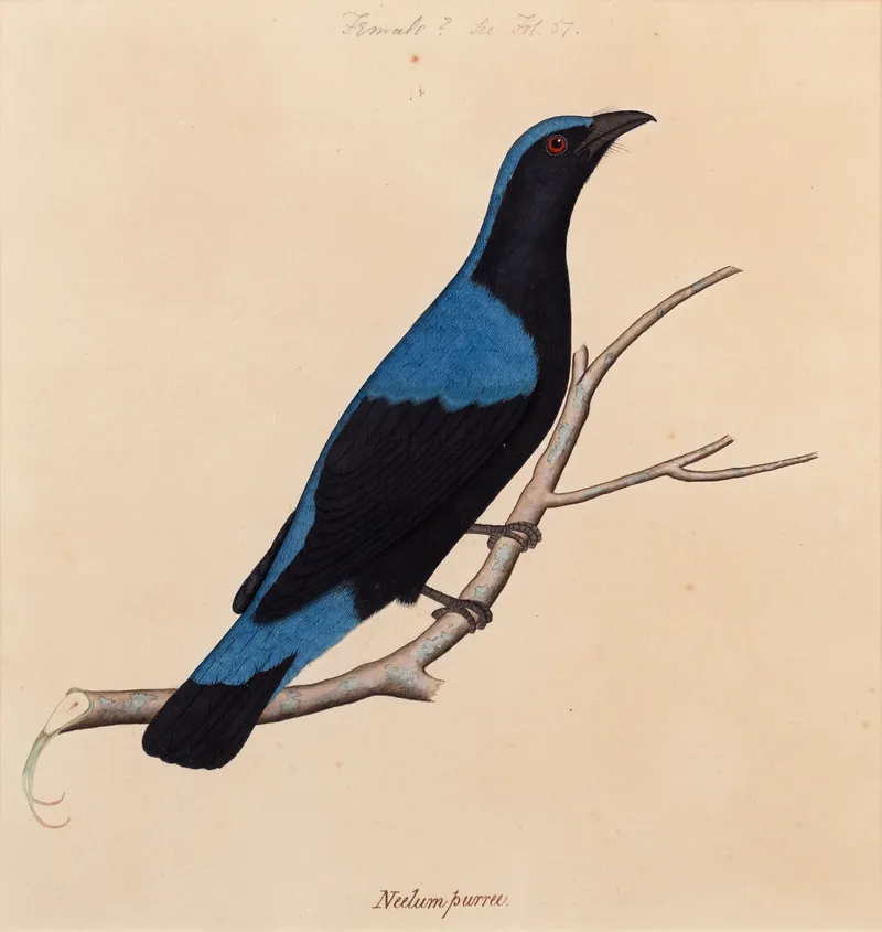Image 1 1