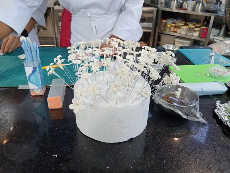 Image 4 (6)