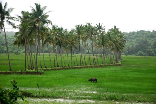 Goa in September