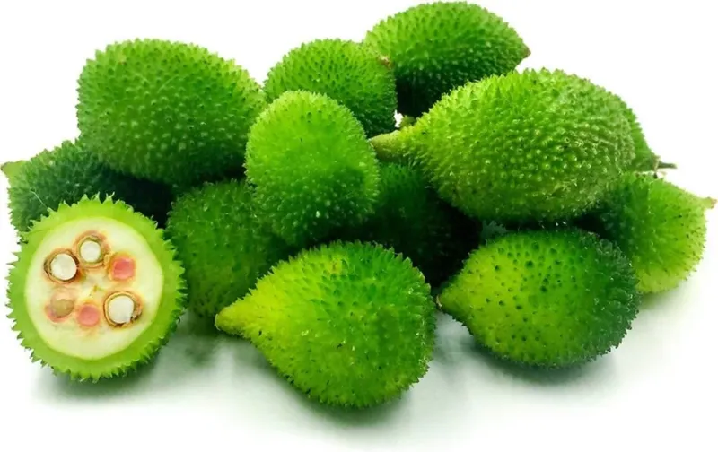 Kantola-Spiny-Gourd-
