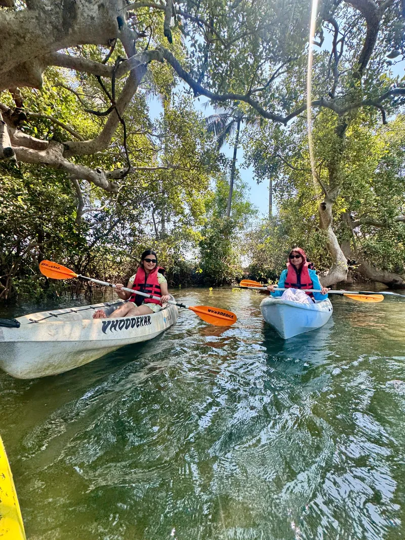 Lush mangroves of Baga (1)