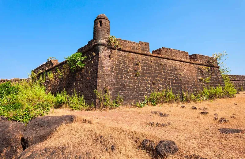 Goa Monsoon Image