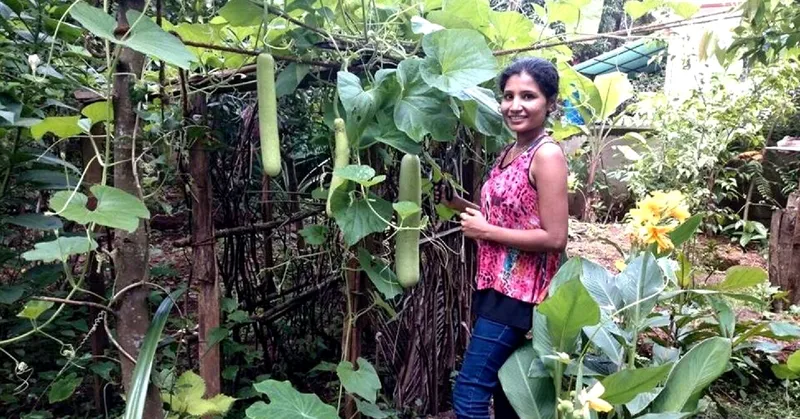 Image Credit - TheBetterIndia