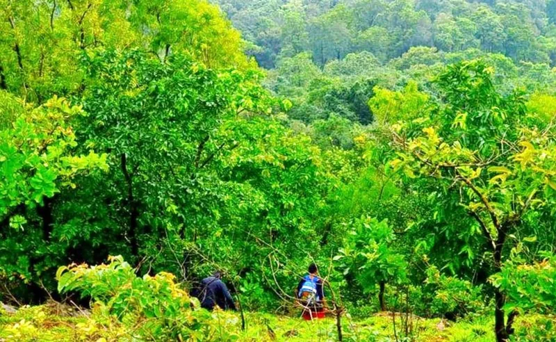 Which activities can we do during a monsoon in GOA?