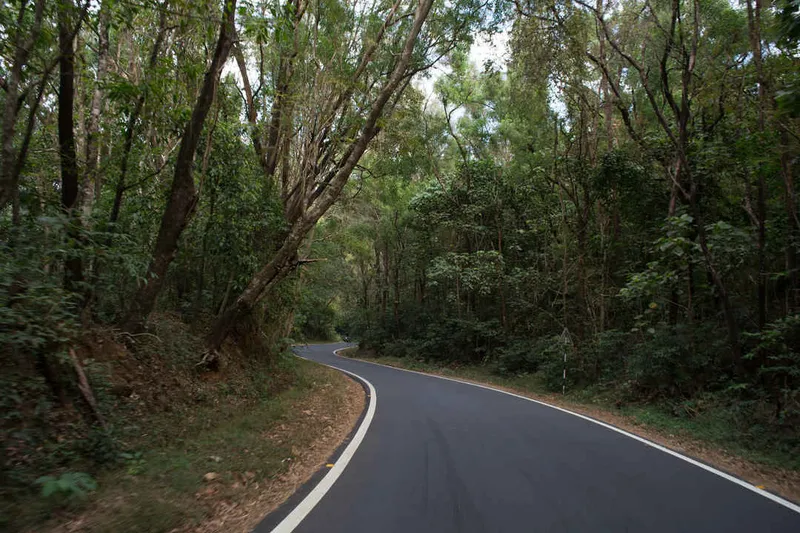 FAQ: Should I Come to Goa in Monsoon?