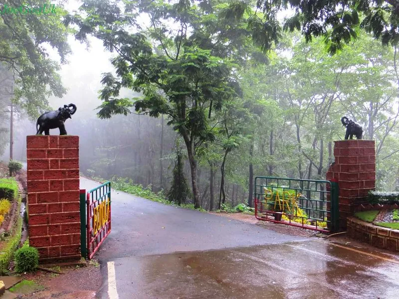 Best Time To Visit Goa