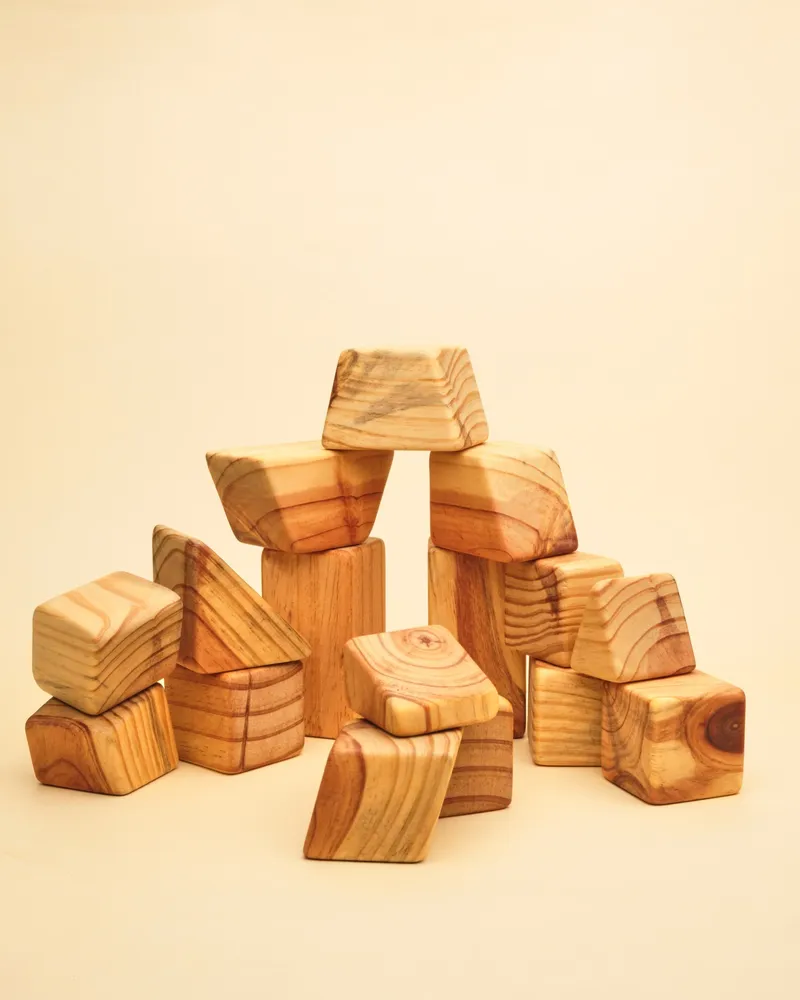 Montessori-1