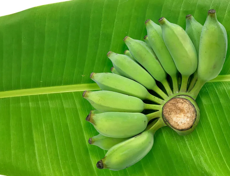 Raw-Banana-