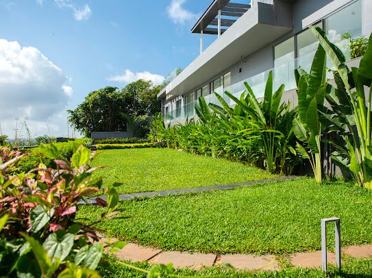 Refined green outdoors at Eternia Villa