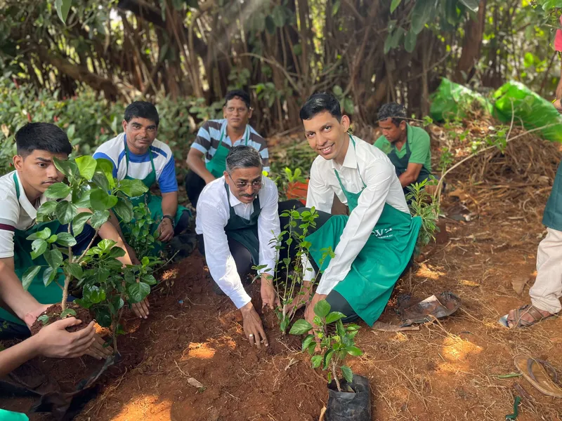 Sapling plantation at IHCL Goa 1