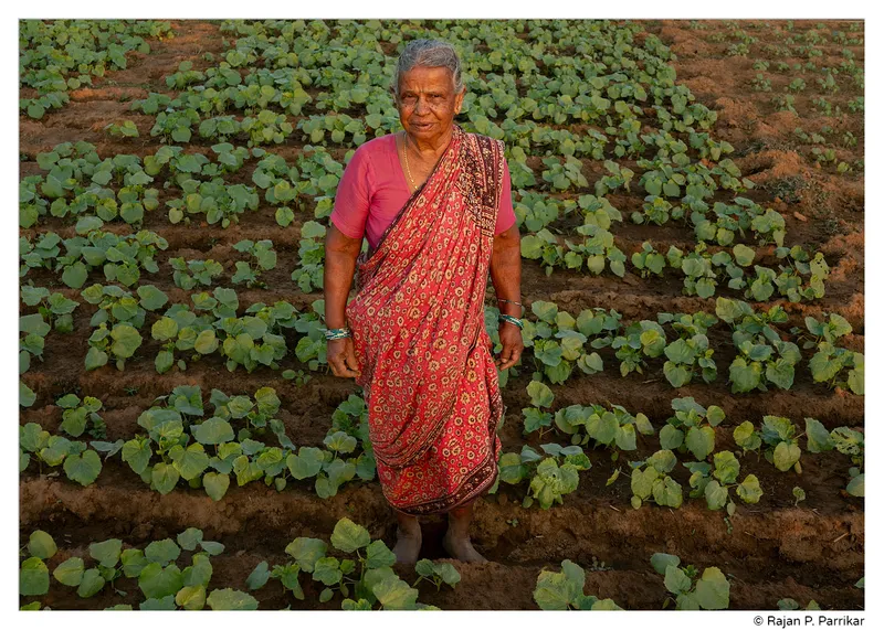 Farmer Sitabai Canconkar