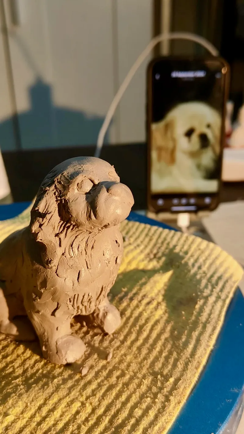 Start of a sculpture with just the basic form