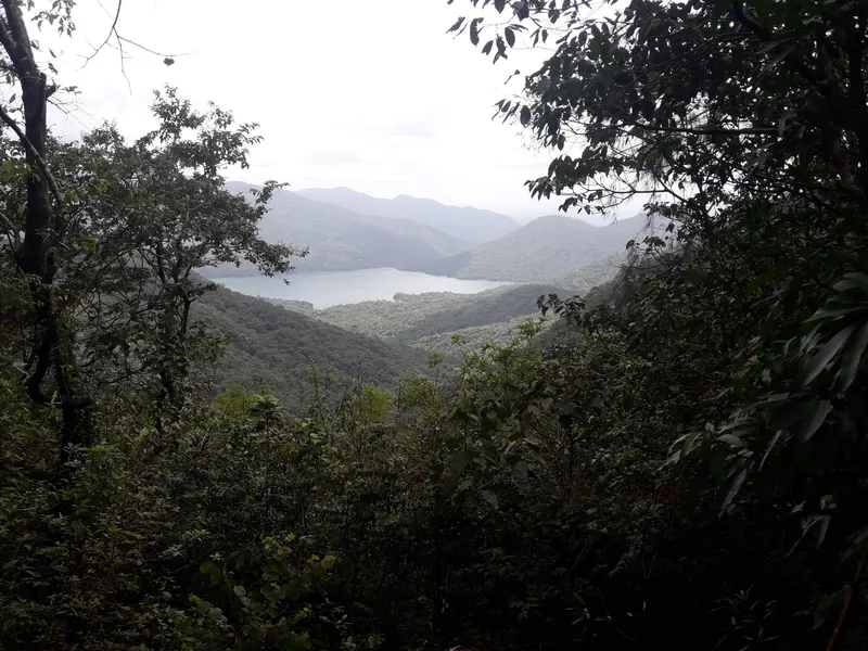 Swapnagandha Resort