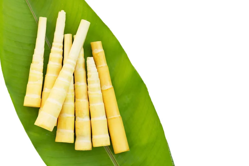 Tender-Bamboo-Shoots-
