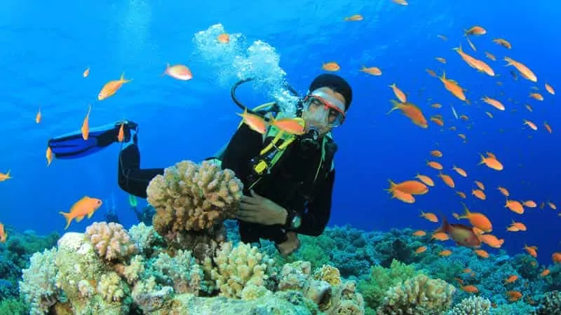 Uma-Guva-Reef
