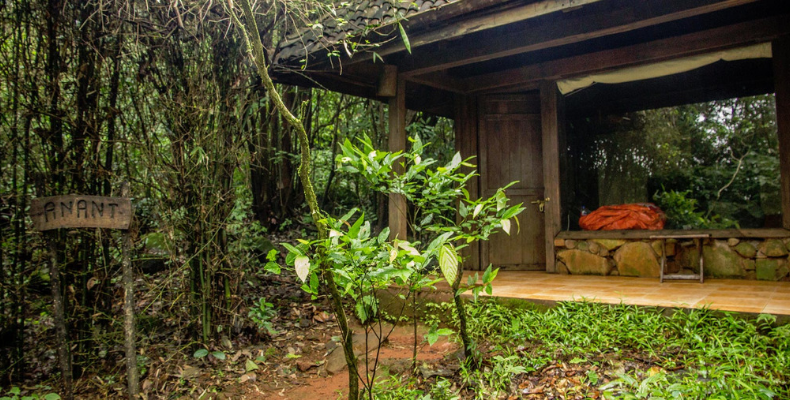 Wildernest for kids