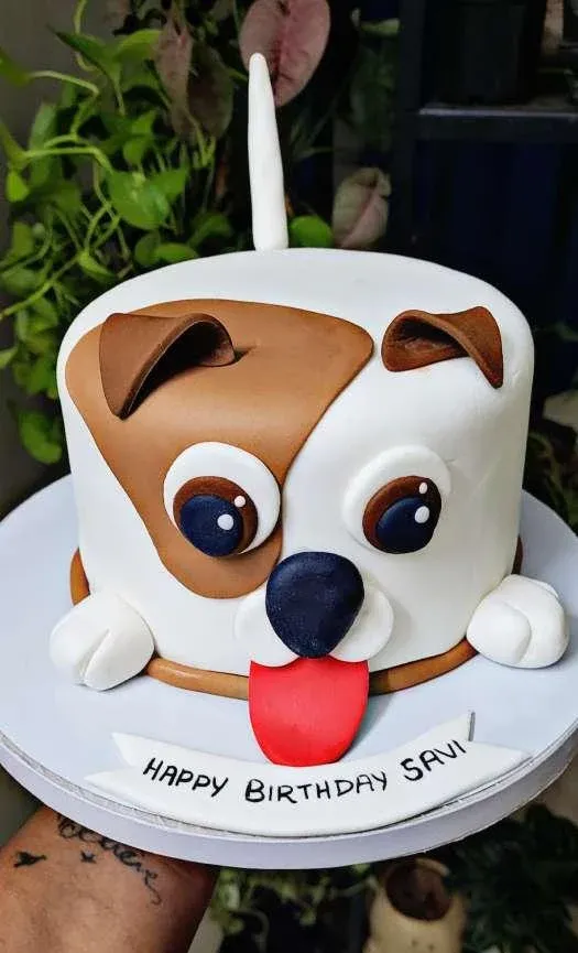 Raina- Fondant Cake