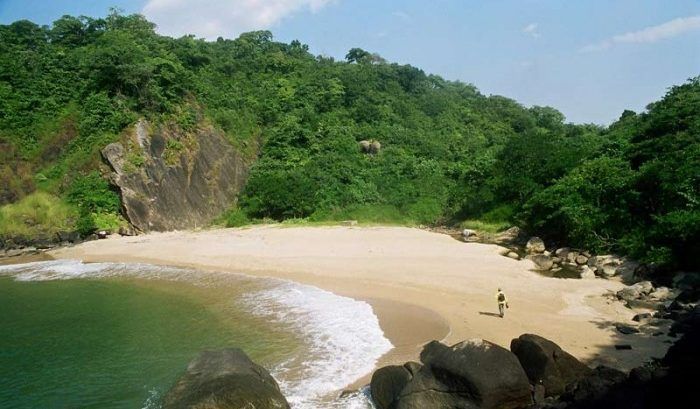 butterfly-beach-goa