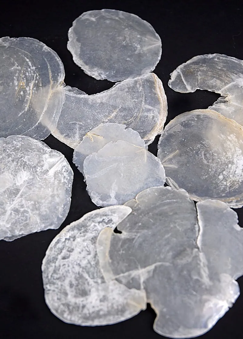 capiz-shells-7-1
