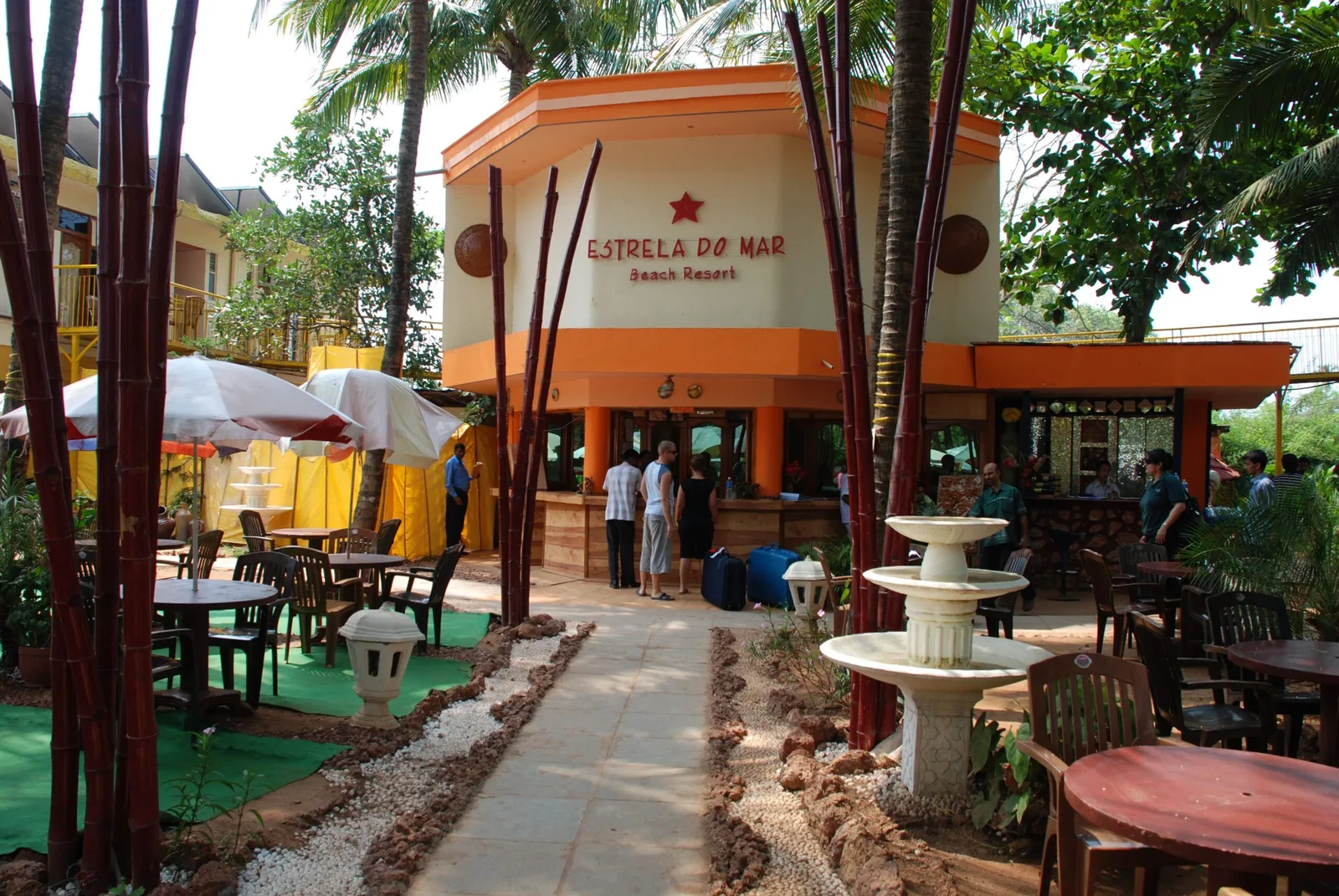 estrela-do-mar-min