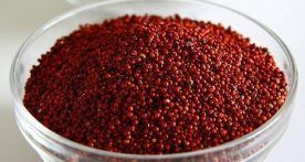 finger millet$_12