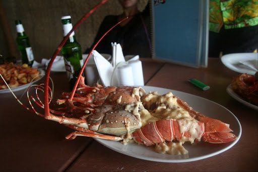 fish-n-feni-min