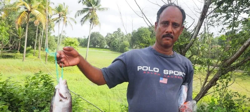 best-fishing-time-in-goa