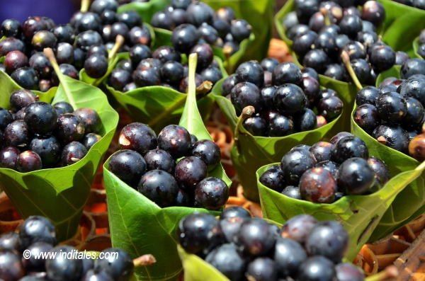 fruits-goa-caranz