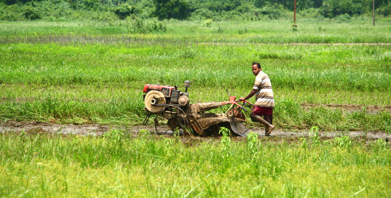 goanphotos.com