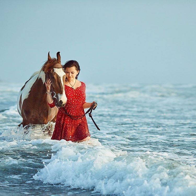 horsee