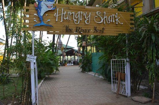 hungry-sharkNEW7-min