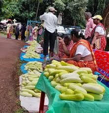 Cucumber Feast Market