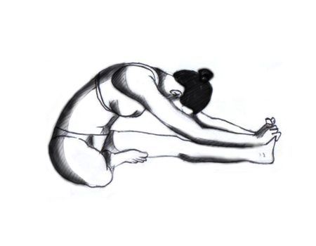 janu sirsasana www.keyword-suggestions.com